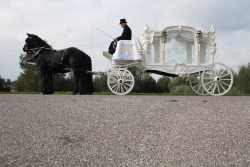 De witte rouwkoets kan getrokken worden met 2 of 4 paarden.