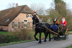 De 4-persoons arreslee kan getrokken worden door 1 of 2 paarden.
