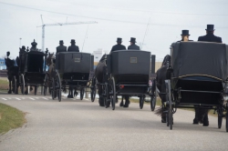 Een foto van de rouwkoets met 3 volg rouwkoetsen