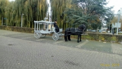 De grijze rouwkoets met zwarte paarden