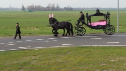 Zwarte open rouwkoets