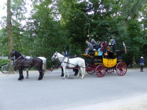 De postkoets met een 4-span paarden zwart wit bespannen in het vondelpark te Amsterdam . Er kunnen 8 personen op de koets en 4 personen kunnen binnen plaatsnemen. Totaal geschikt voor 12 passagiers.