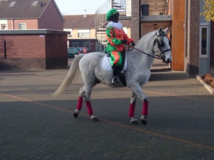 Schimmel te huur voor SInterklaasintochten met begeleiding. Schimmel te huur voor SInterklaasintochten met begeleiding.