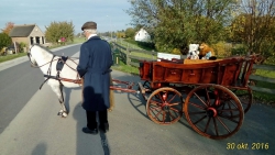 De kinderrouwkoets waar u een pony voor kan inspannen.