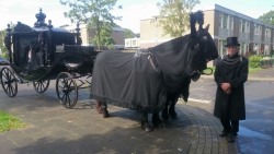 De zwarte rouwkoets met gordijnen. De paarden onder de rouwkleden en de kappen met pluimen.