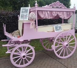 Unieke roze rouwkoets enigste in nederland en te huur bij stalhouderij Reedijk