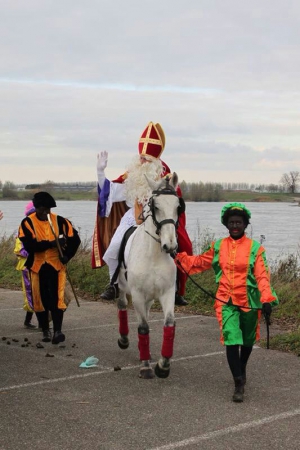 Americo te huur voor SInterklaasintochten met begeleiding. Americo te huur voor SInterklaasintochten met begeleiding.